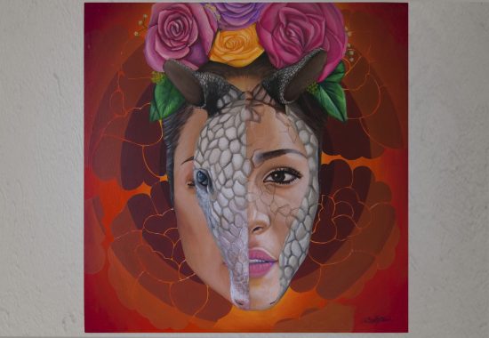 irvingcano-mujer-armadillo